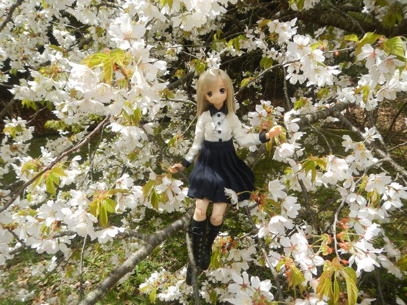 20190427_山ノ井農村公園