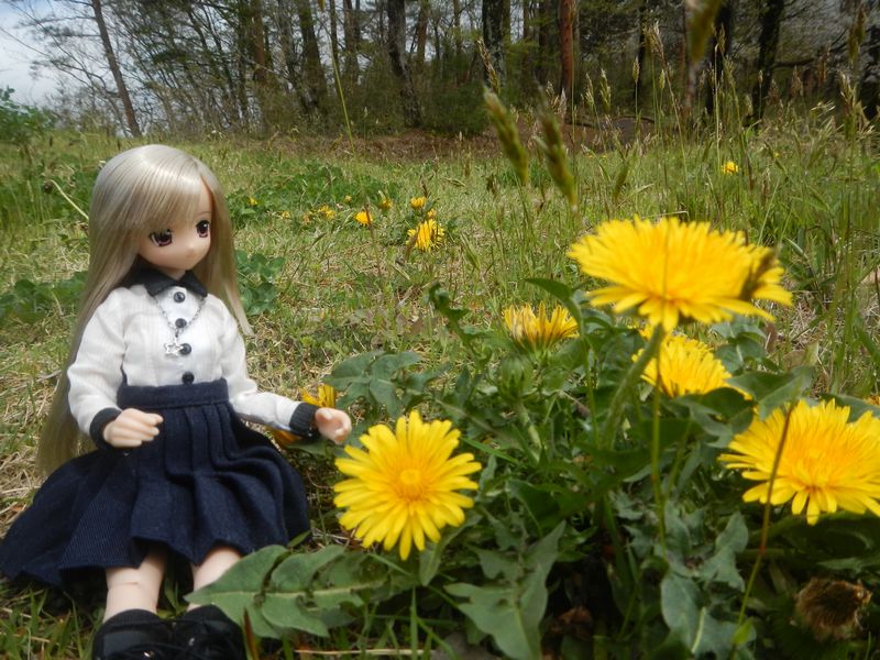 20190427_山ノ井農村公園