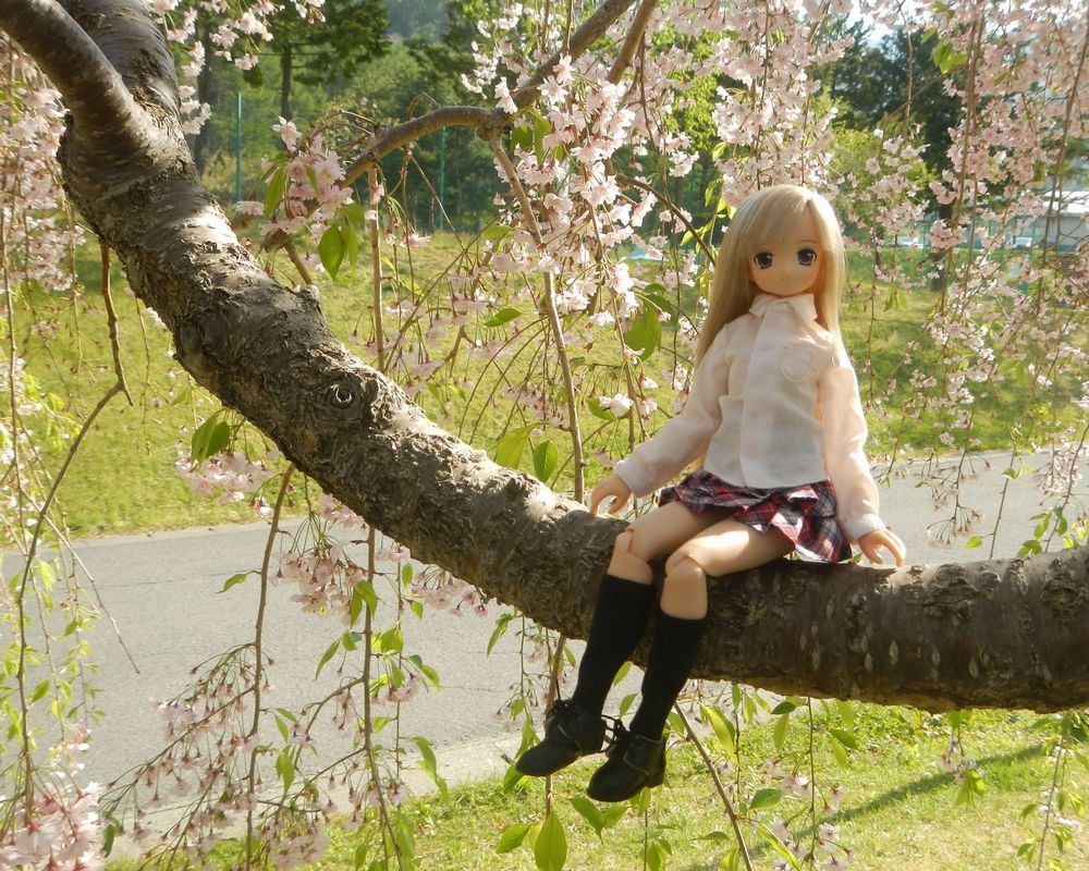 20190512_猪苗代ハーブ園