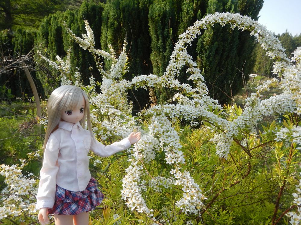 20190512_猪苗代ハーブ園