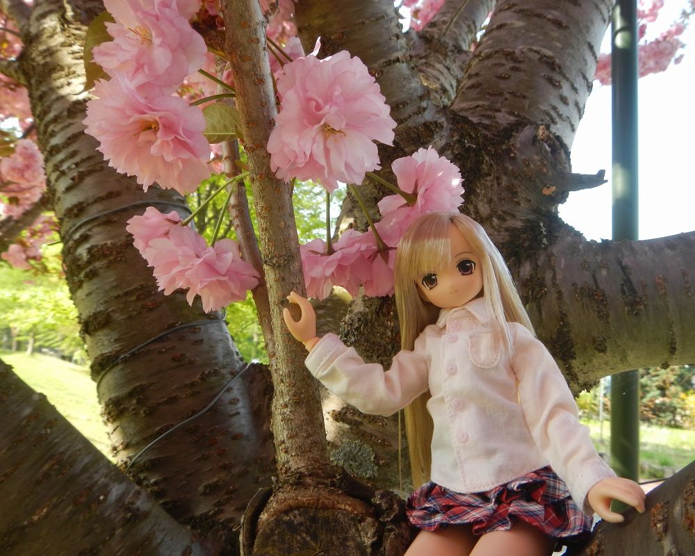 20190512_猪苗代ハーブ園