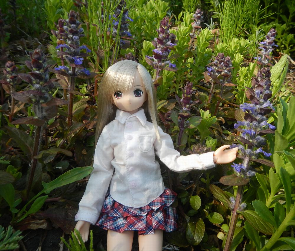 20190512_猪苗代ハーブ園