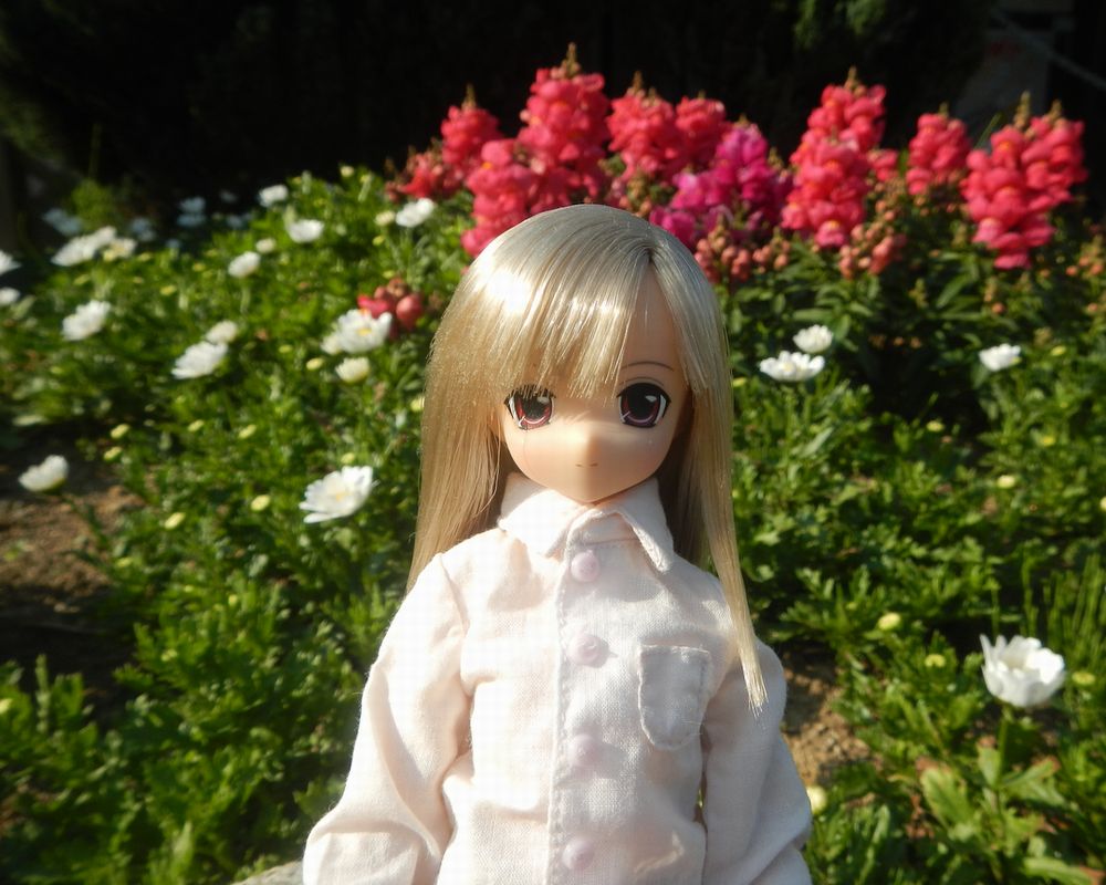 20190512_猪苗代ハーブ園