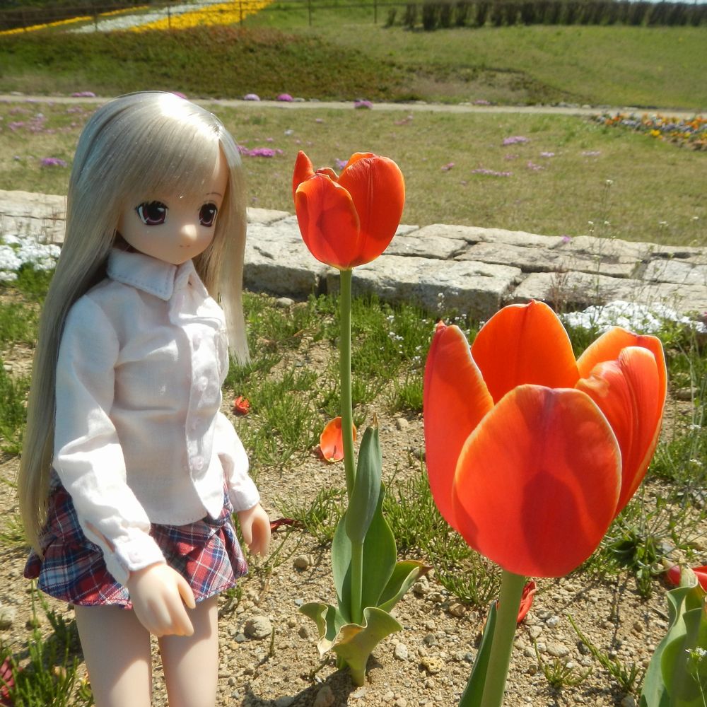 20190512_猪苗代レクリエーション公園