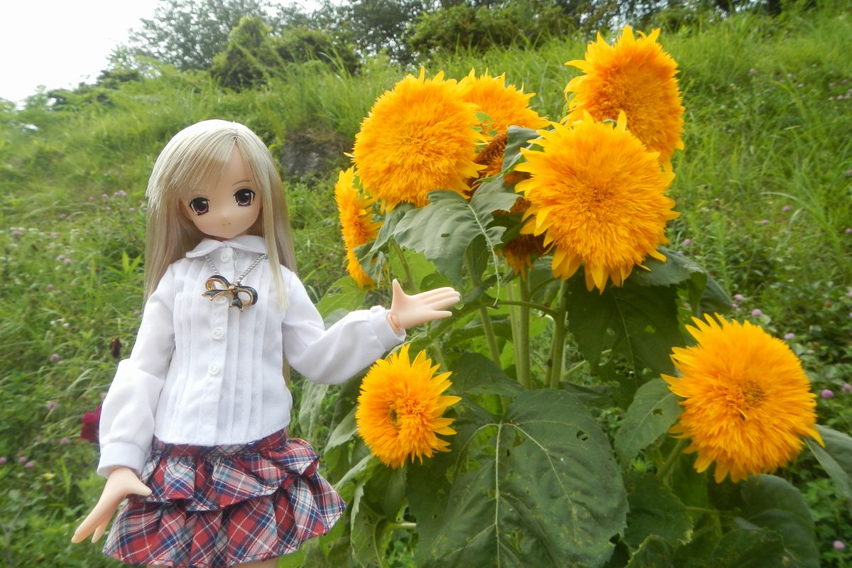 20200817_ジュピアランドひらた