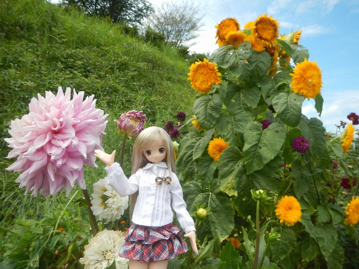 20200817_ジュピアランドひらた