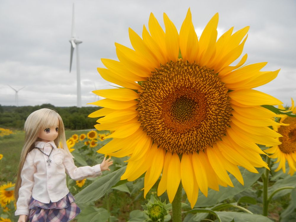 20200831_布引風の高原