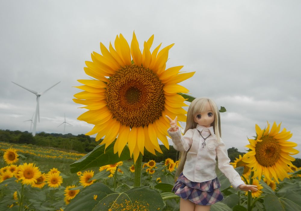 20200831_布引風の高原