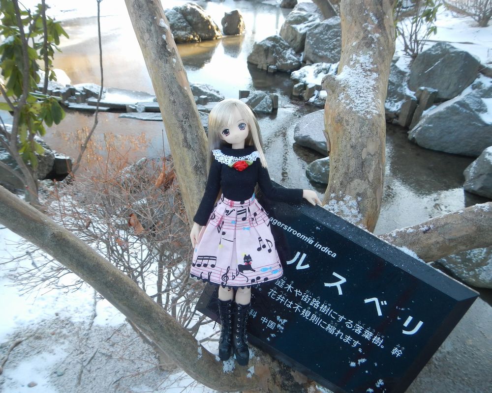 20210111_せせらぎ広場