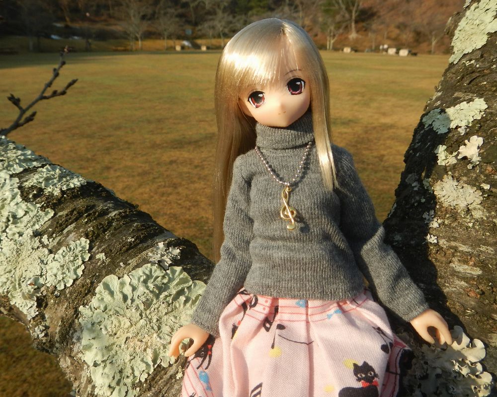 20210222_浄土松公園