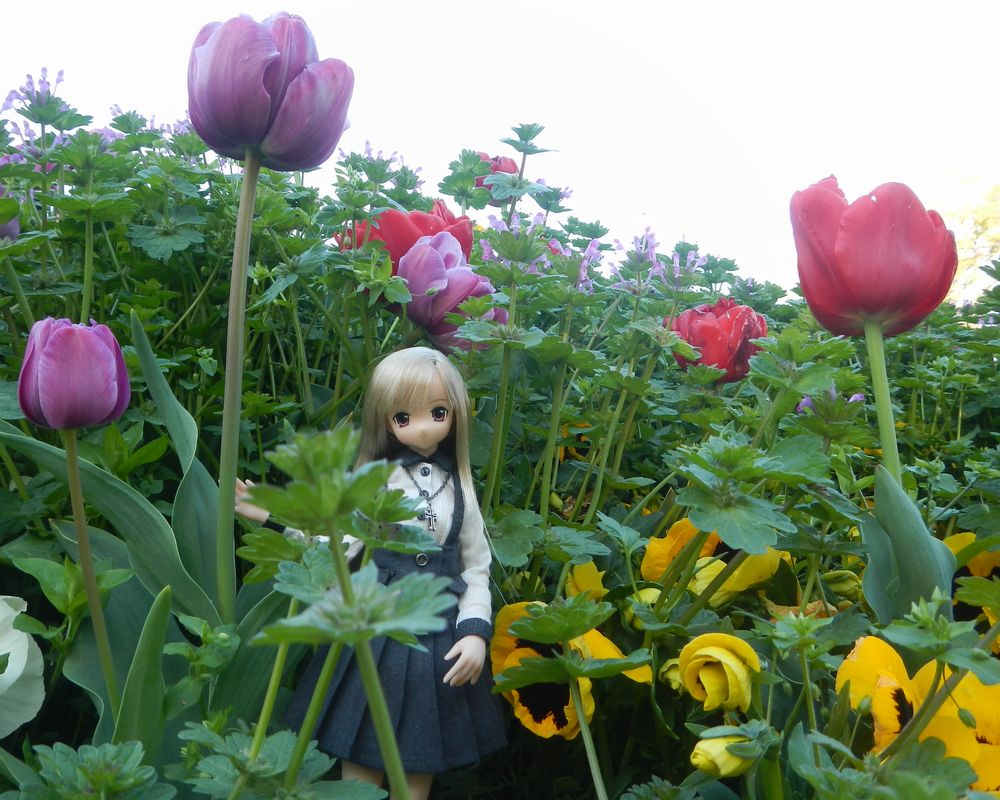 20210422_麓山公園