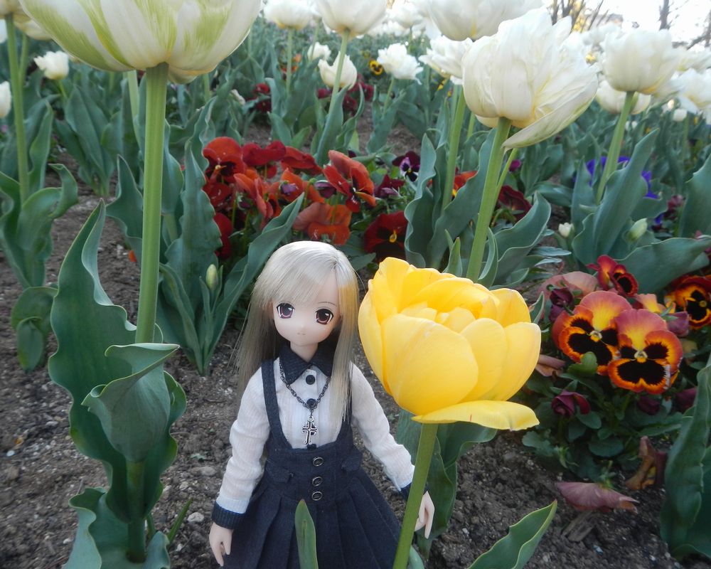 20210422_麓山公園