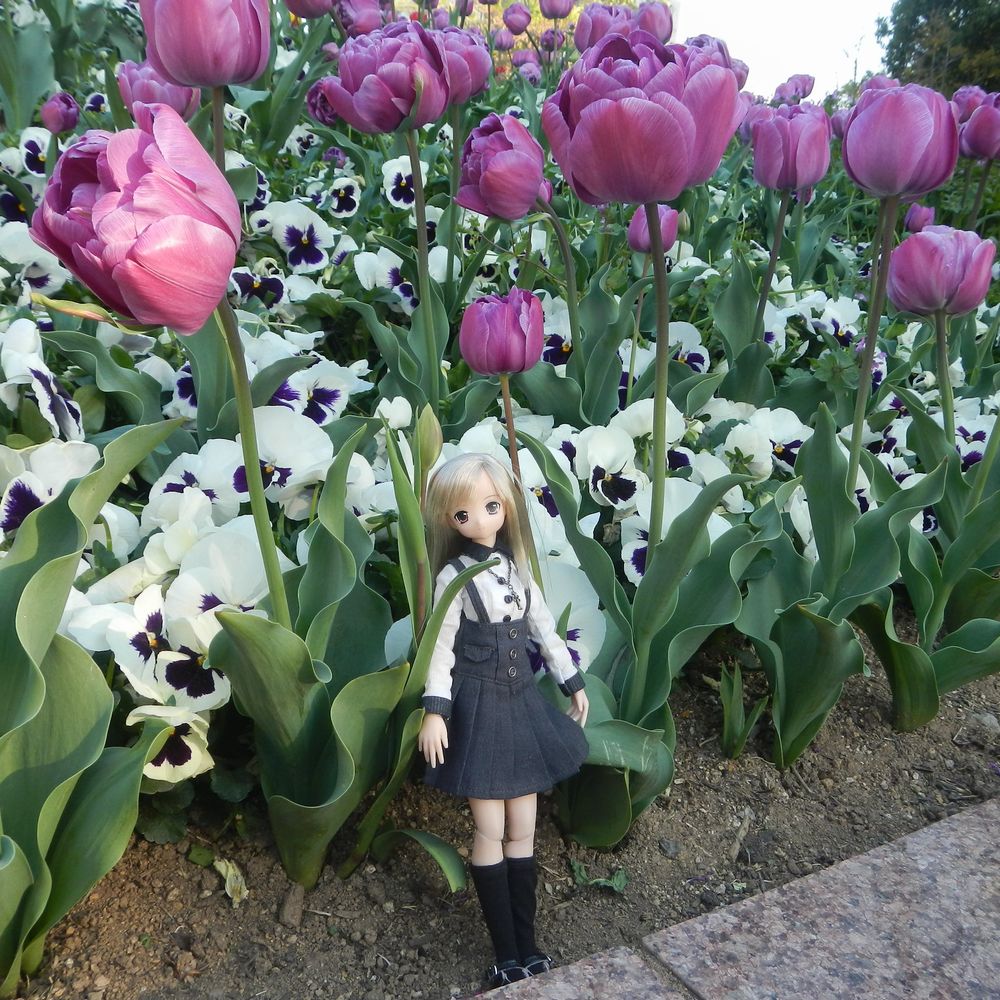 20210422_麓山公園