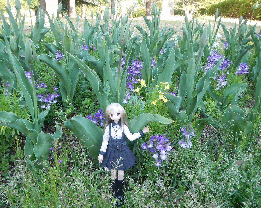 20210422_麓山公園
