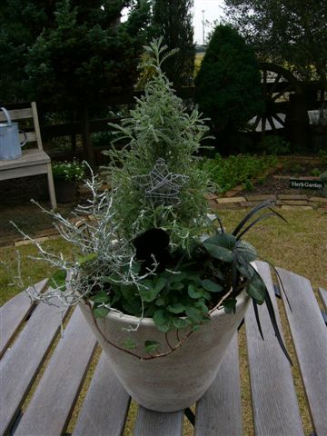 寄せ植え5