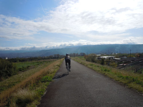 桜サイクリング２
