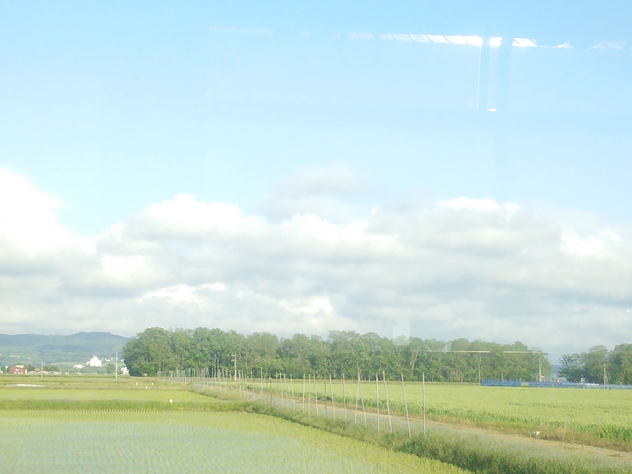 町営バスの車窓から vol.12