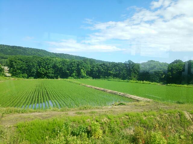 町営バスの車窓から vol.14