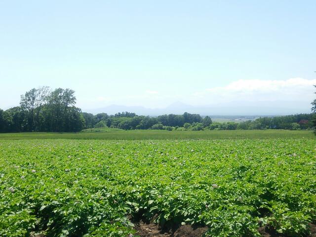 町営バスの車窓から vol.15