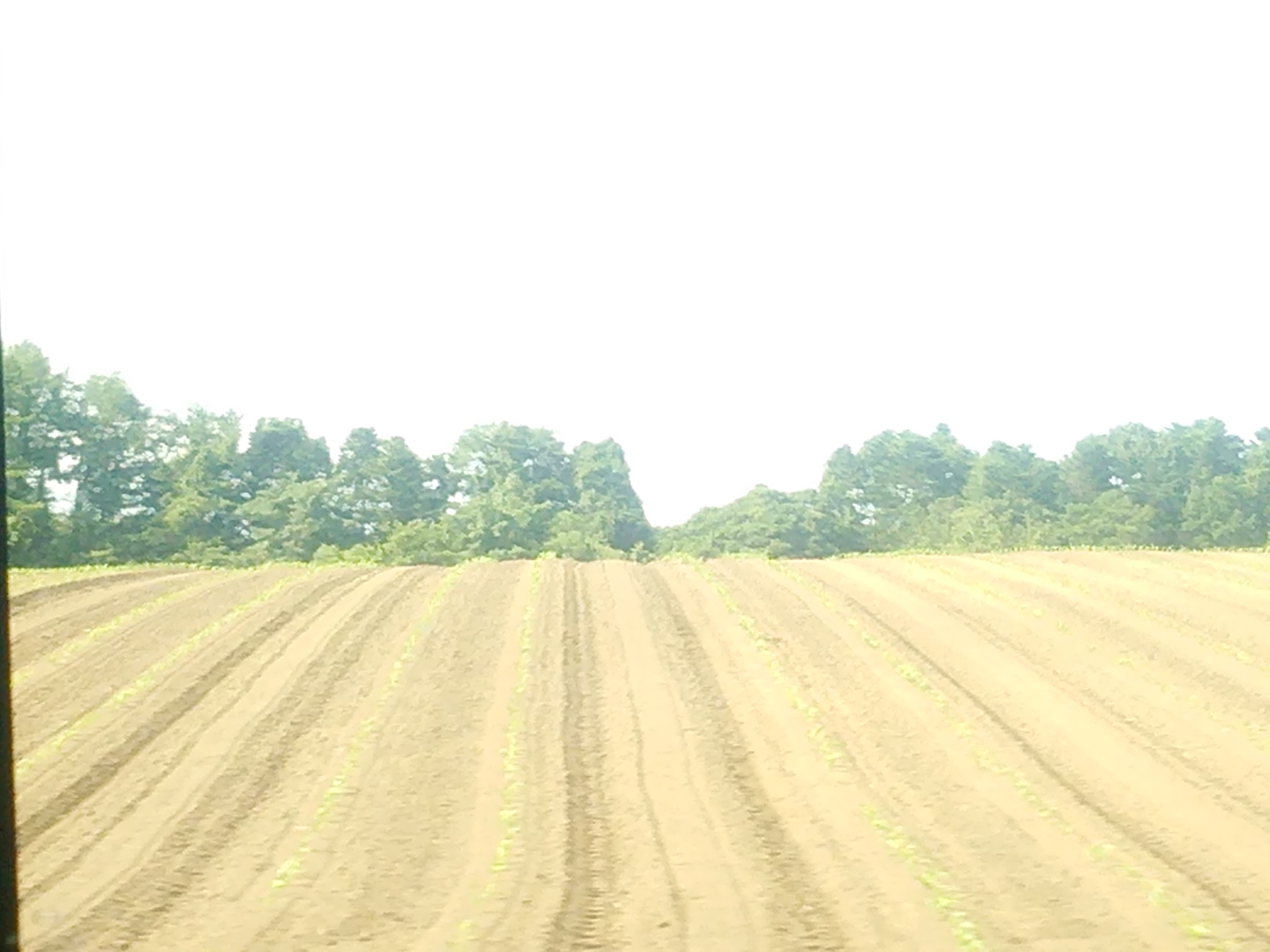 町営バスの車窓から vol.17