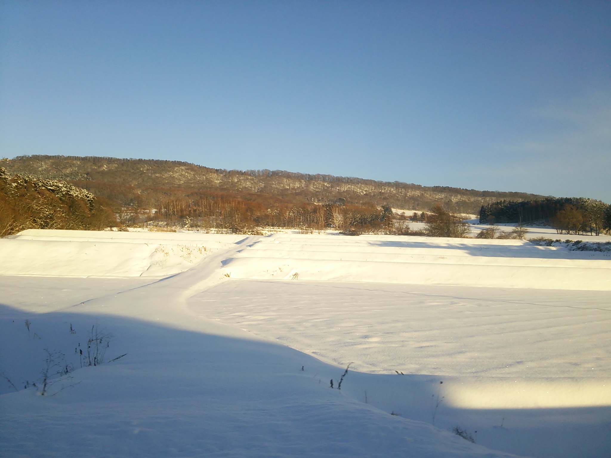 町営バスの車窓から vol.2