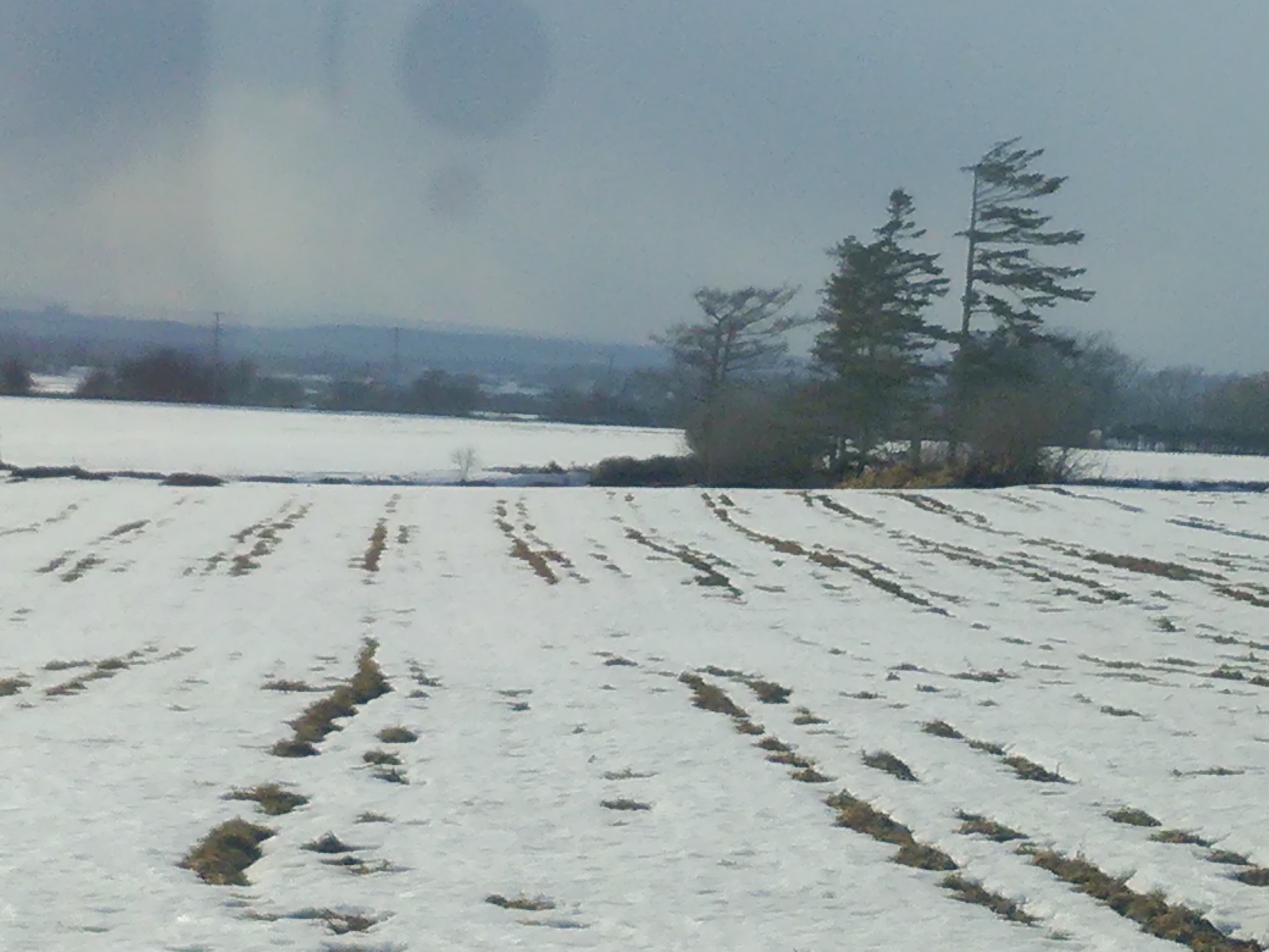 町営バスの車窓から vol.4