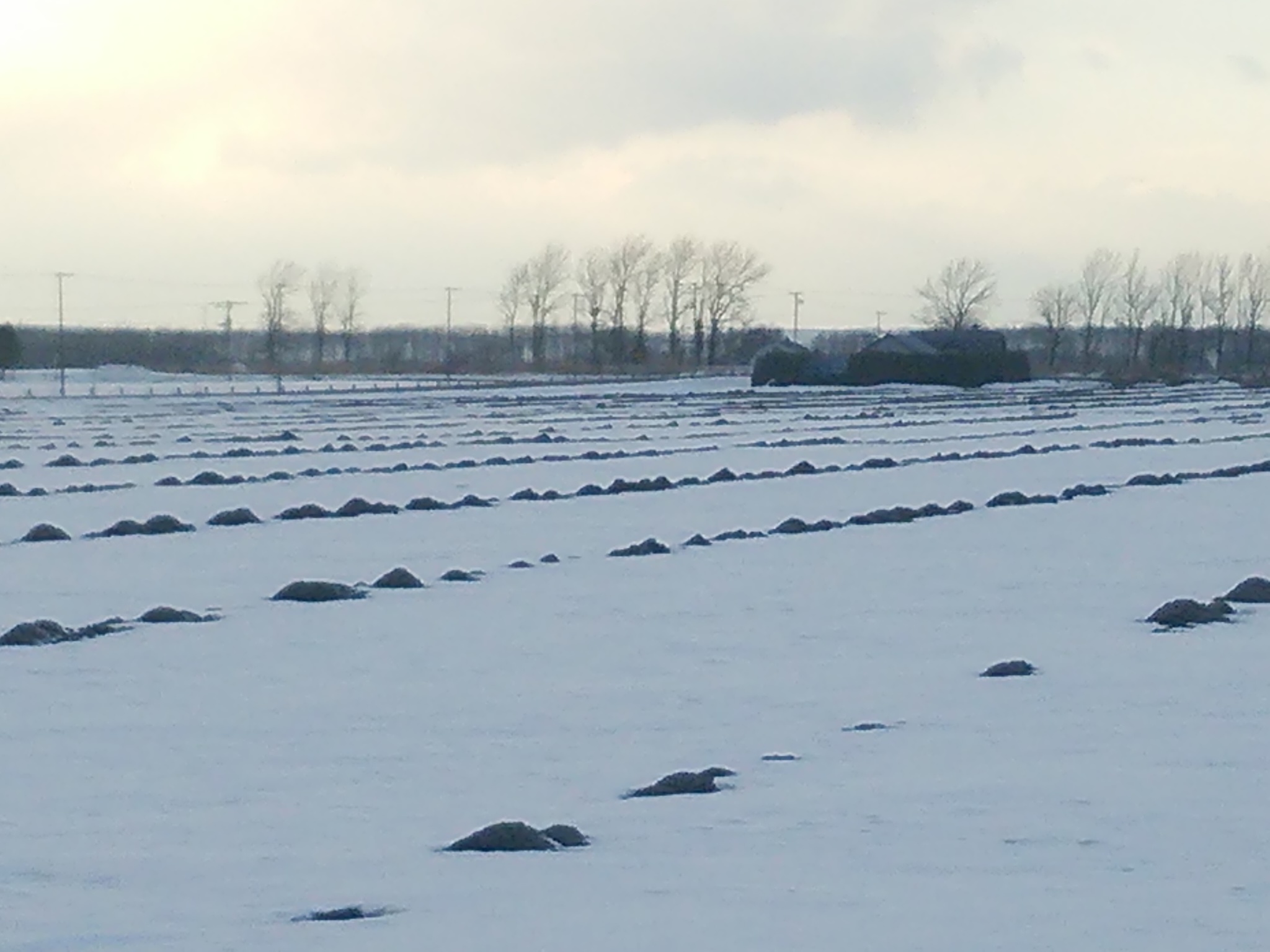 町営バスの車窓から vol.5