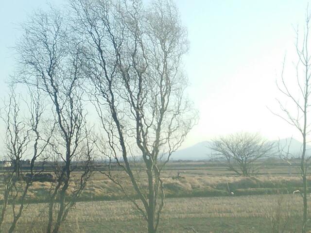 町営バスの車窓から vol.6