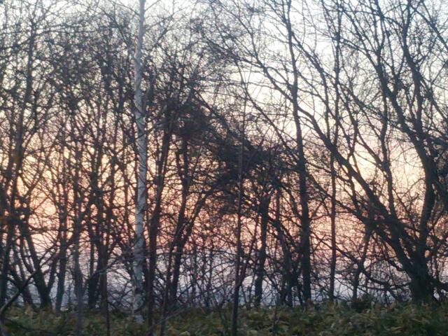 町営バスの車窓から vol.9