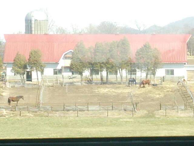 町営バスの車窓から vol.10