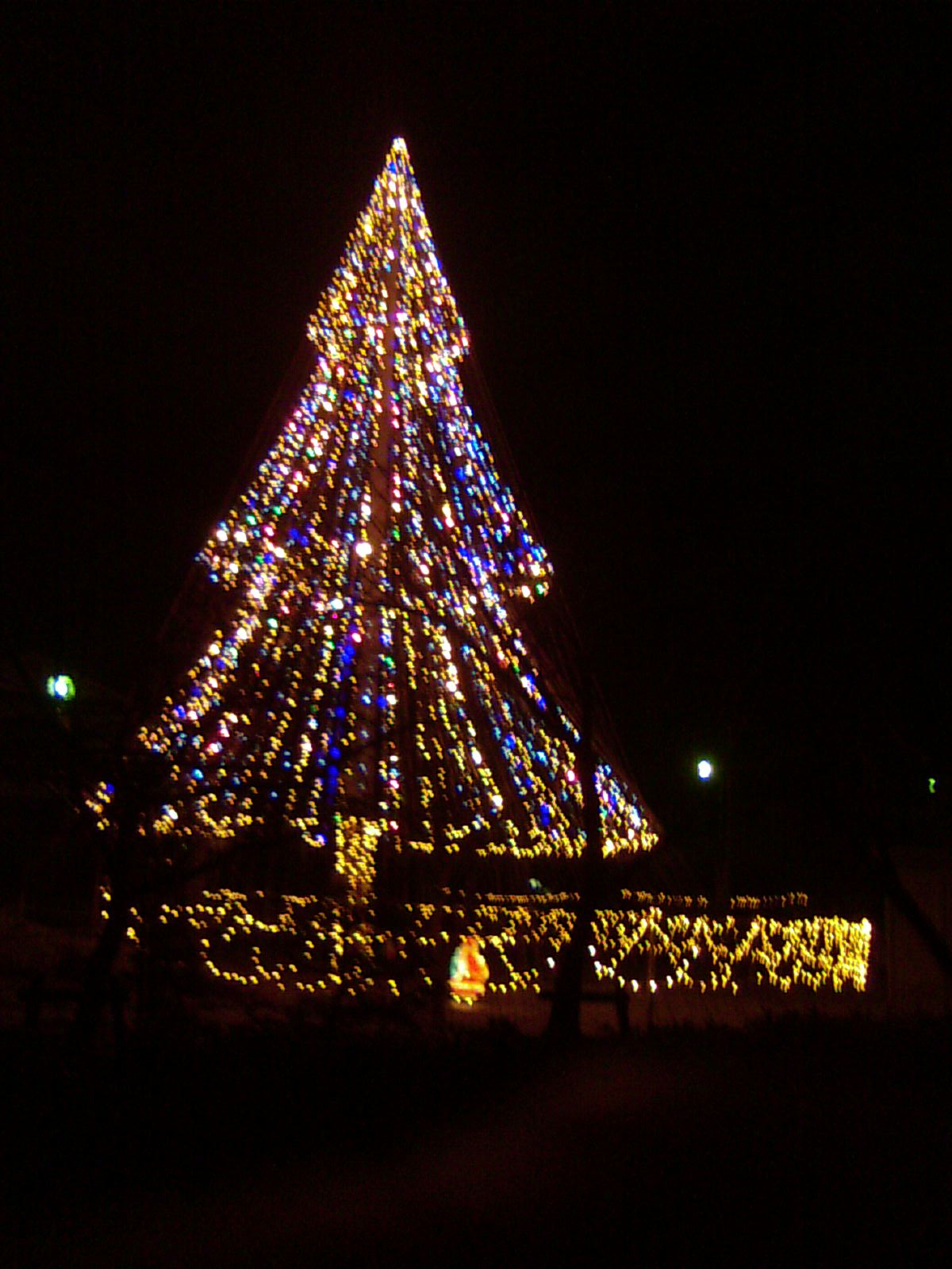 大きな大きなクリスマスツリー　２０１０