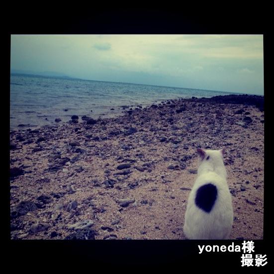 yoneda様撮影