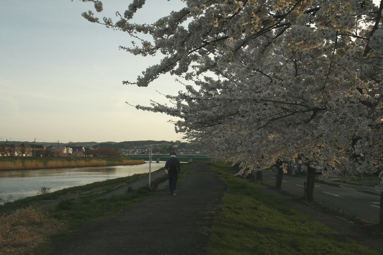 新井田川