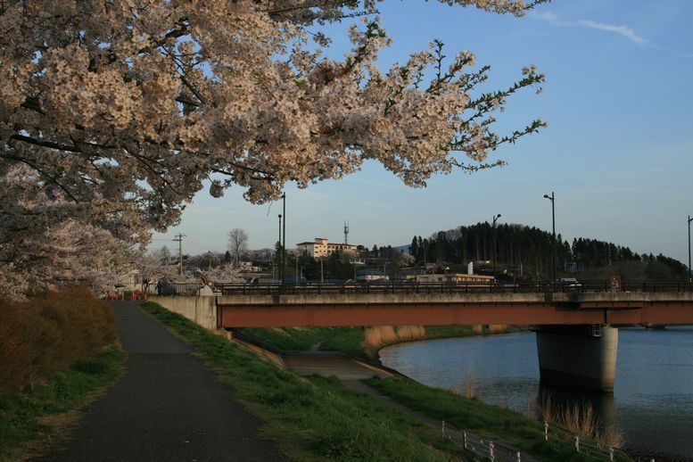 新井田川