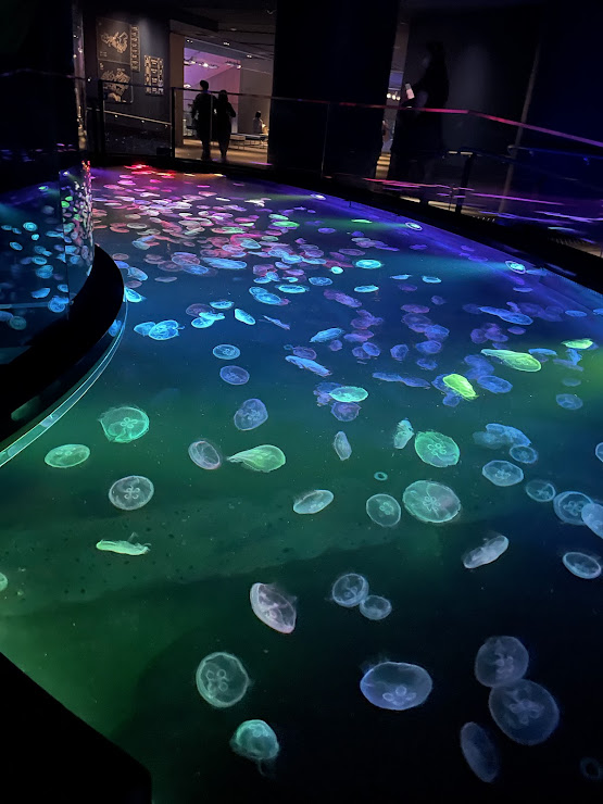 すみだ水族館