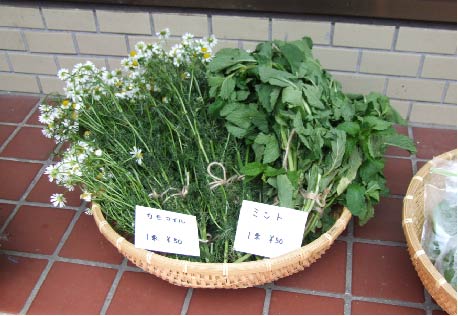 ミント＆カモマイル