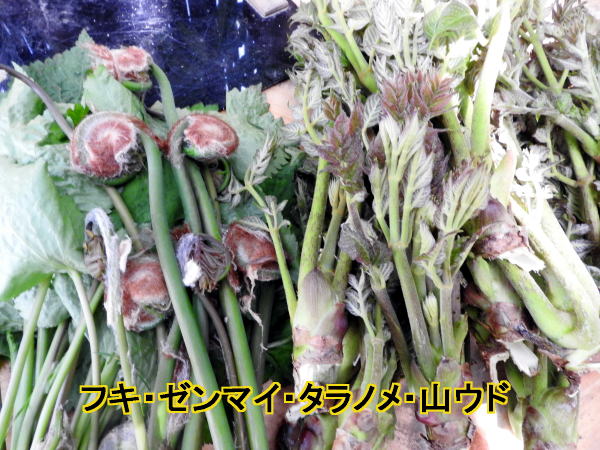 山菜