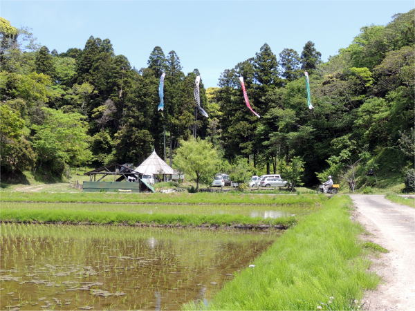 全景