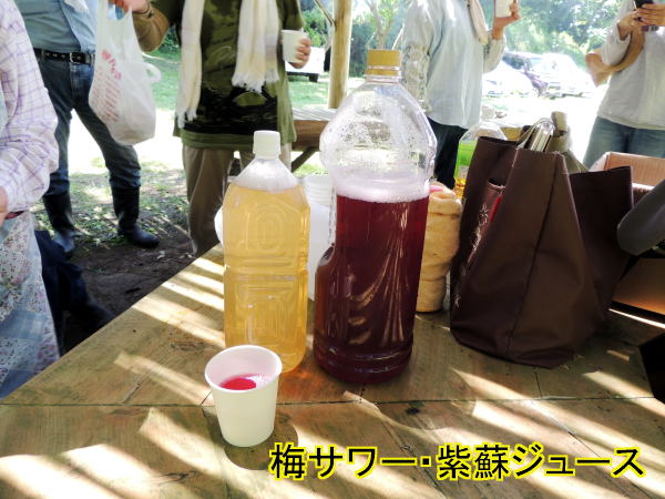梅サワー