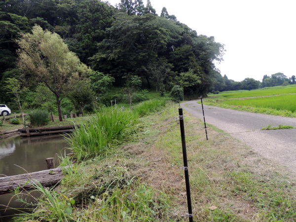 イノシシ電気柵