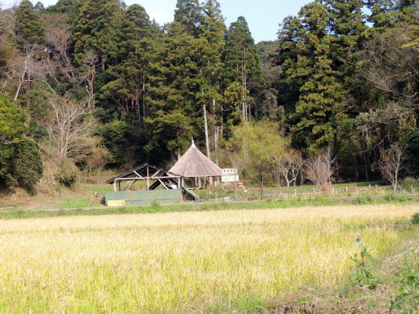 全景
