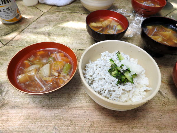 シラス丼