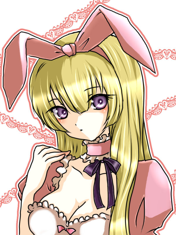 バニーナイト！！