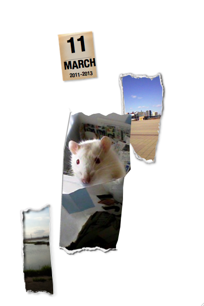 『ふくふくラットさん2』裏表紙