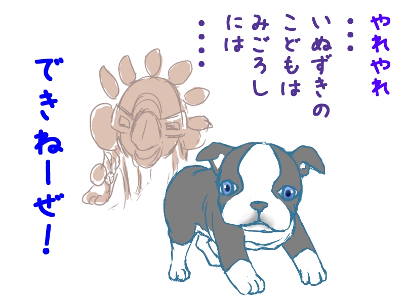 子犬イギー１