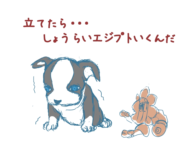 子犬イギー３