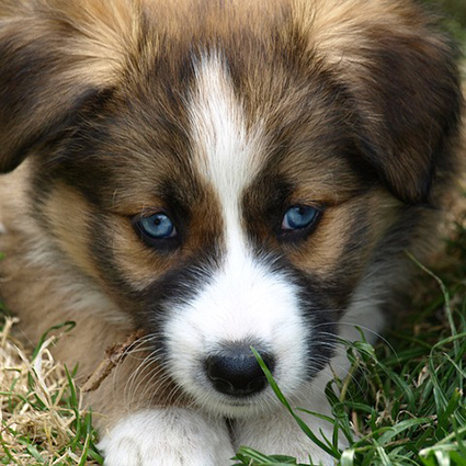 2015.01.22＿ブルー