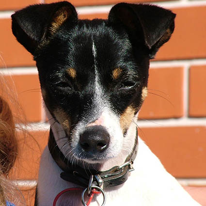 2015.01.20_エルメス