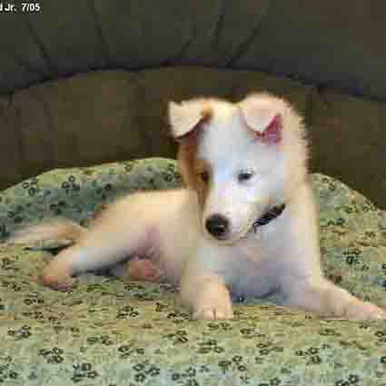 2015.01.15_ちび