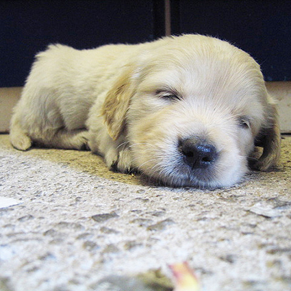 2015.01.13_ムック